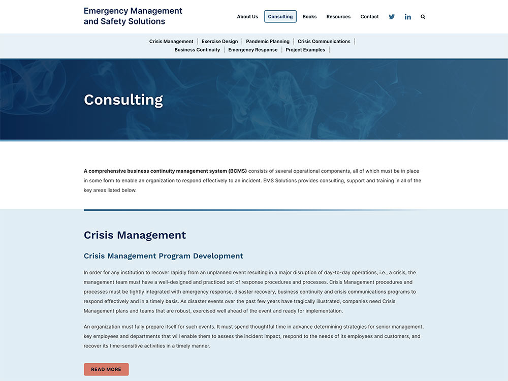 EMS Solutions Consulting Page
