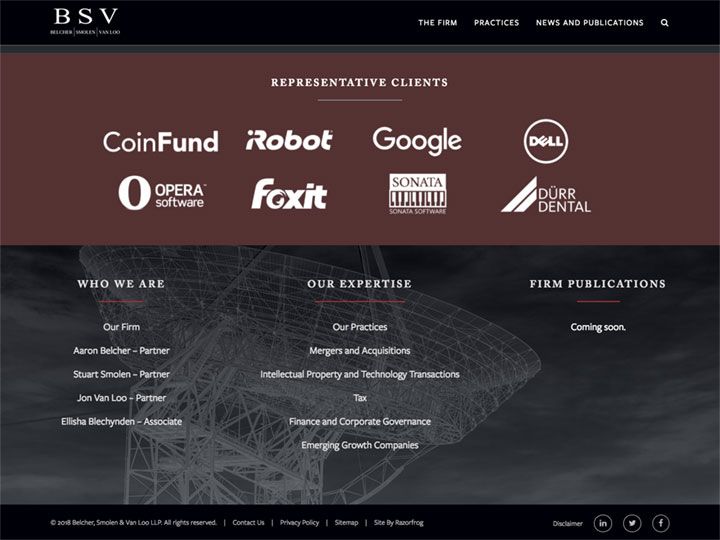 BSV Homepage 2
