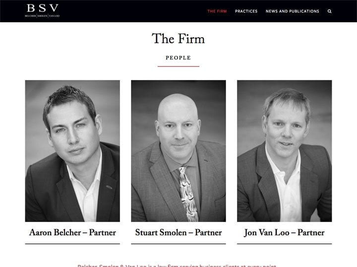 BSV Firm Page