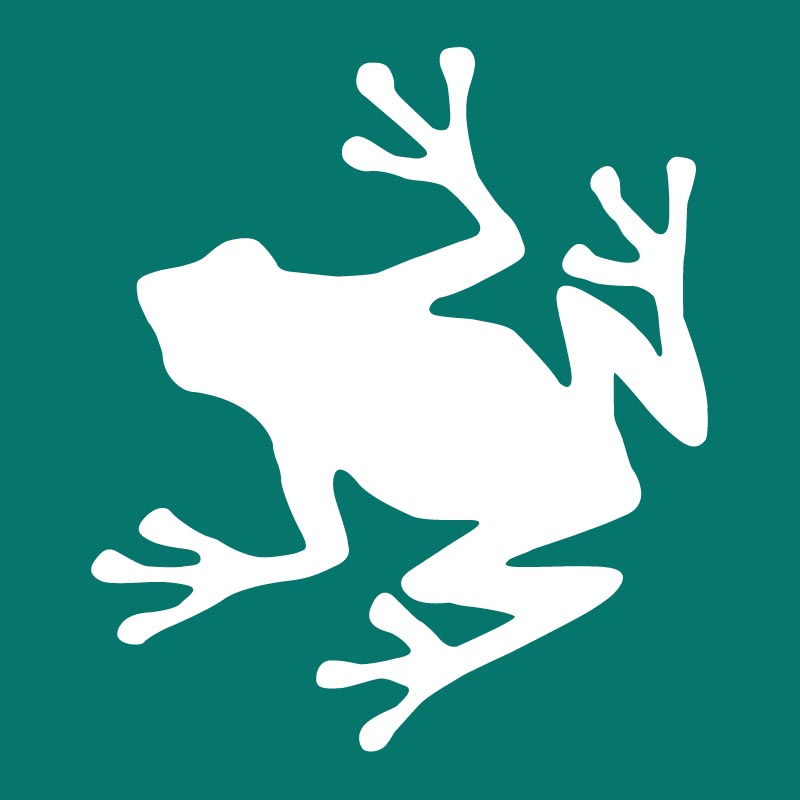 placeholder-frog-same-bg