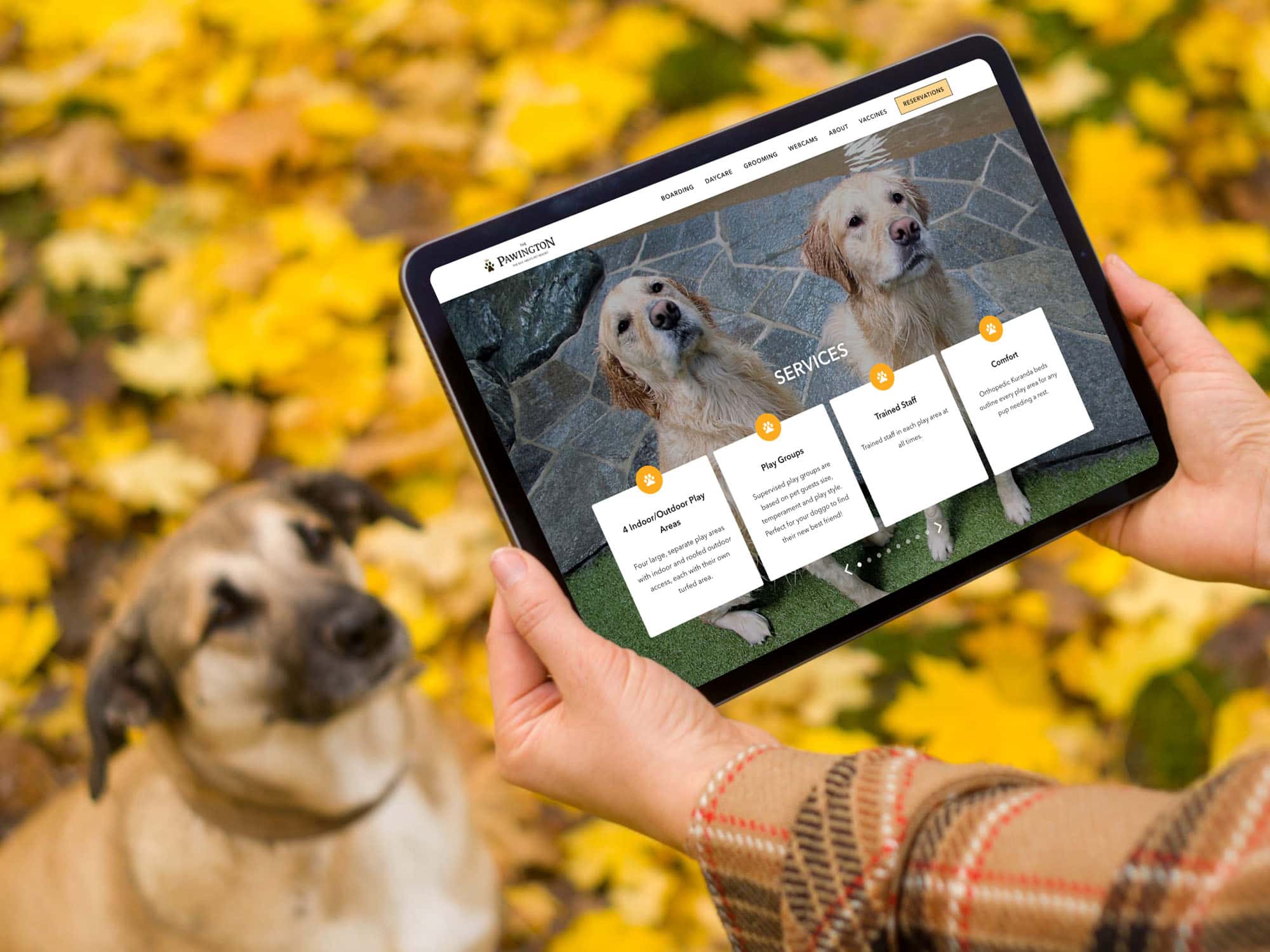 Razorfrog Portfolio: The Pawington