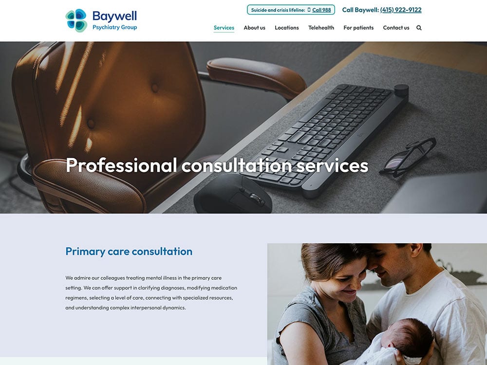 Baywell Professional Consultation Services Page