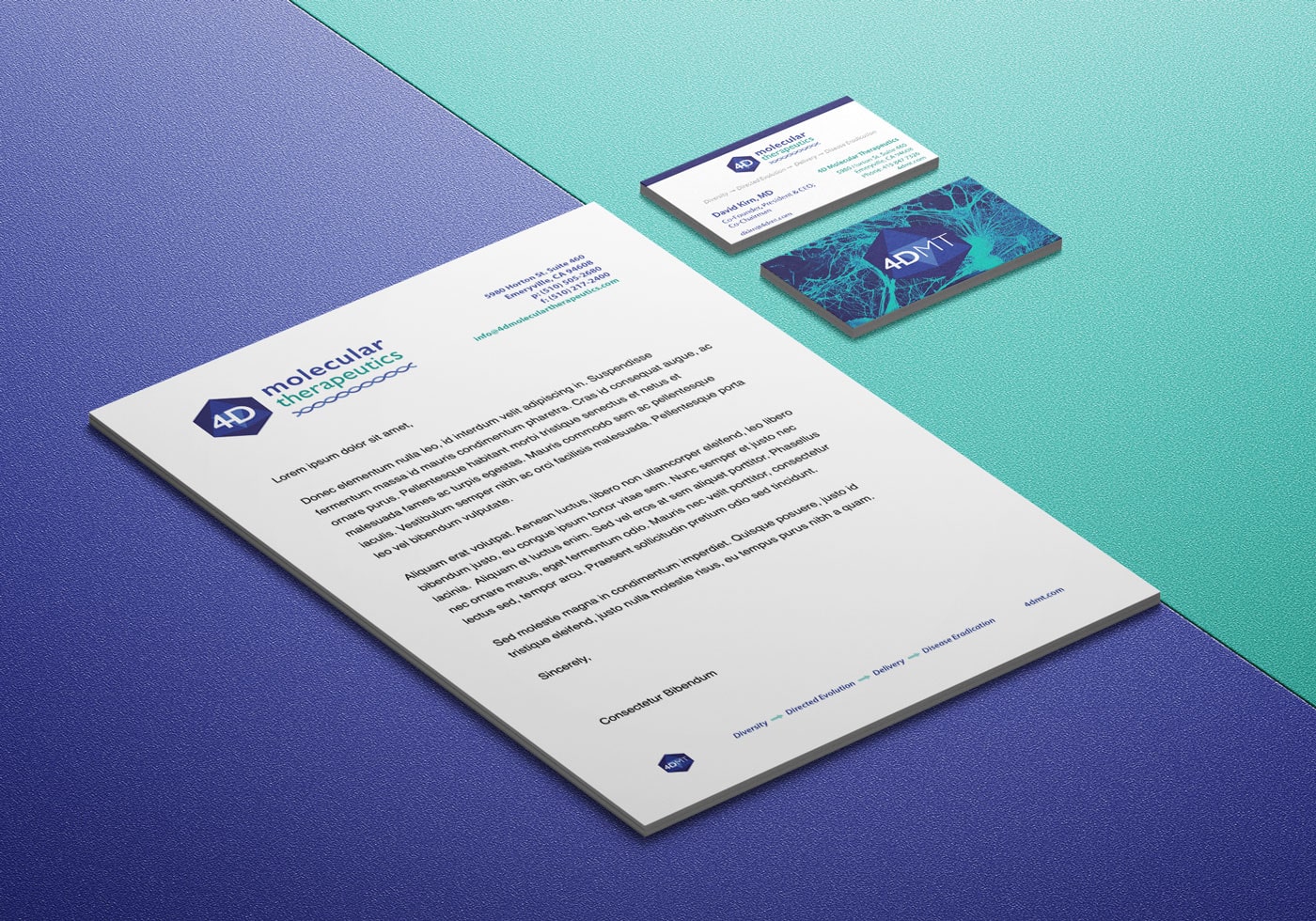 4DMT Letterhead and Business Cards Mockup