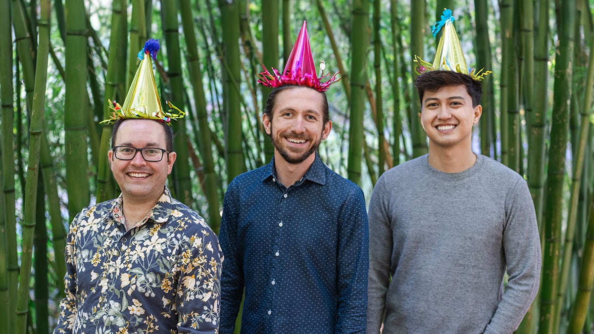 Team Razorfrog With Colorful Party Hats in Bamboo Forest