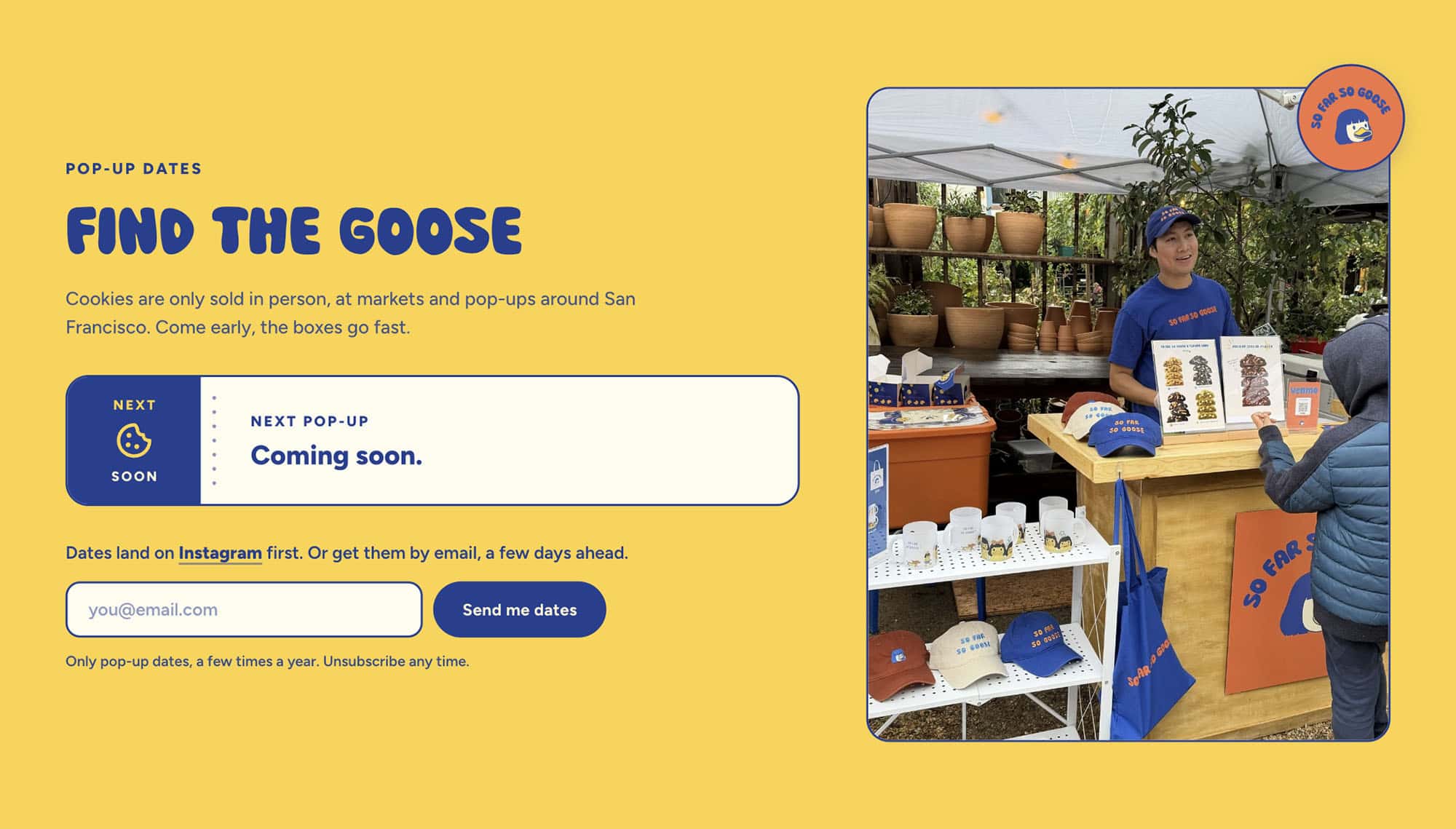 So Far So Goose Pop-Up Section