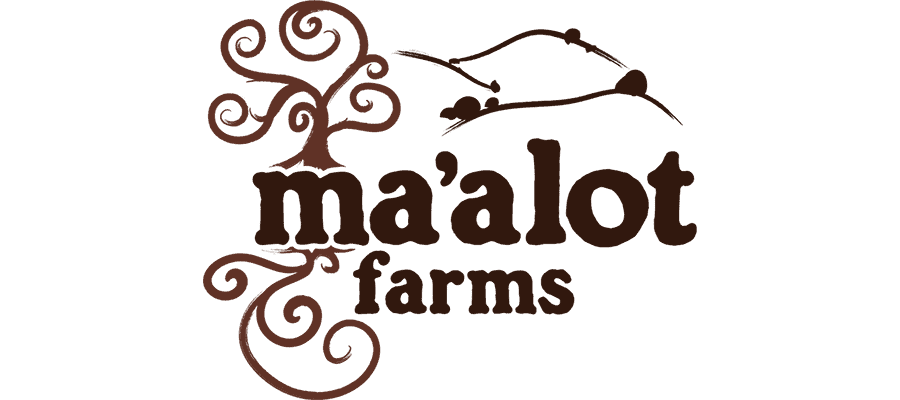 Logo for Ma’alot Farms featuring stylized brown tree and hills, with “ma’alot farms” written in bold, artistic lettering. The design is simple and rustic, suggesting nature and agriculture.