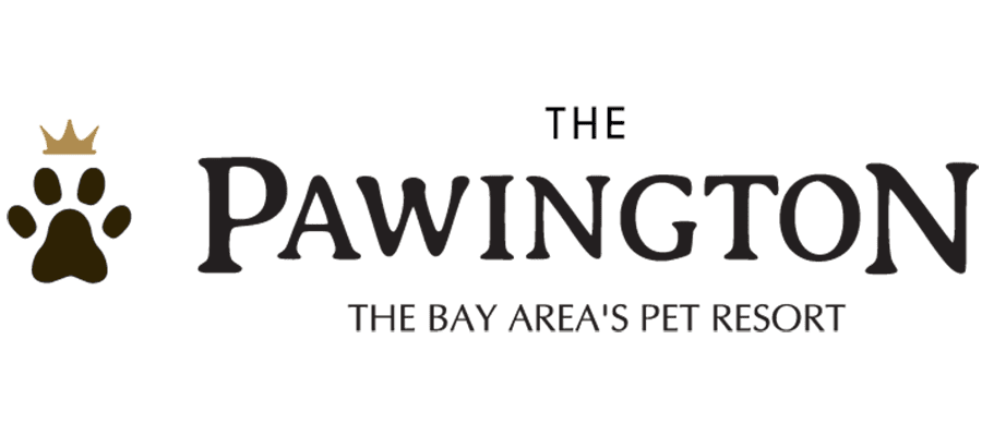 Logo for The Pawington, a Bay Area pet resort. Features a paw print with a gold crown on the left and bold text reading “The Pawington” and “The Bay Area’s Pet Resort” below.