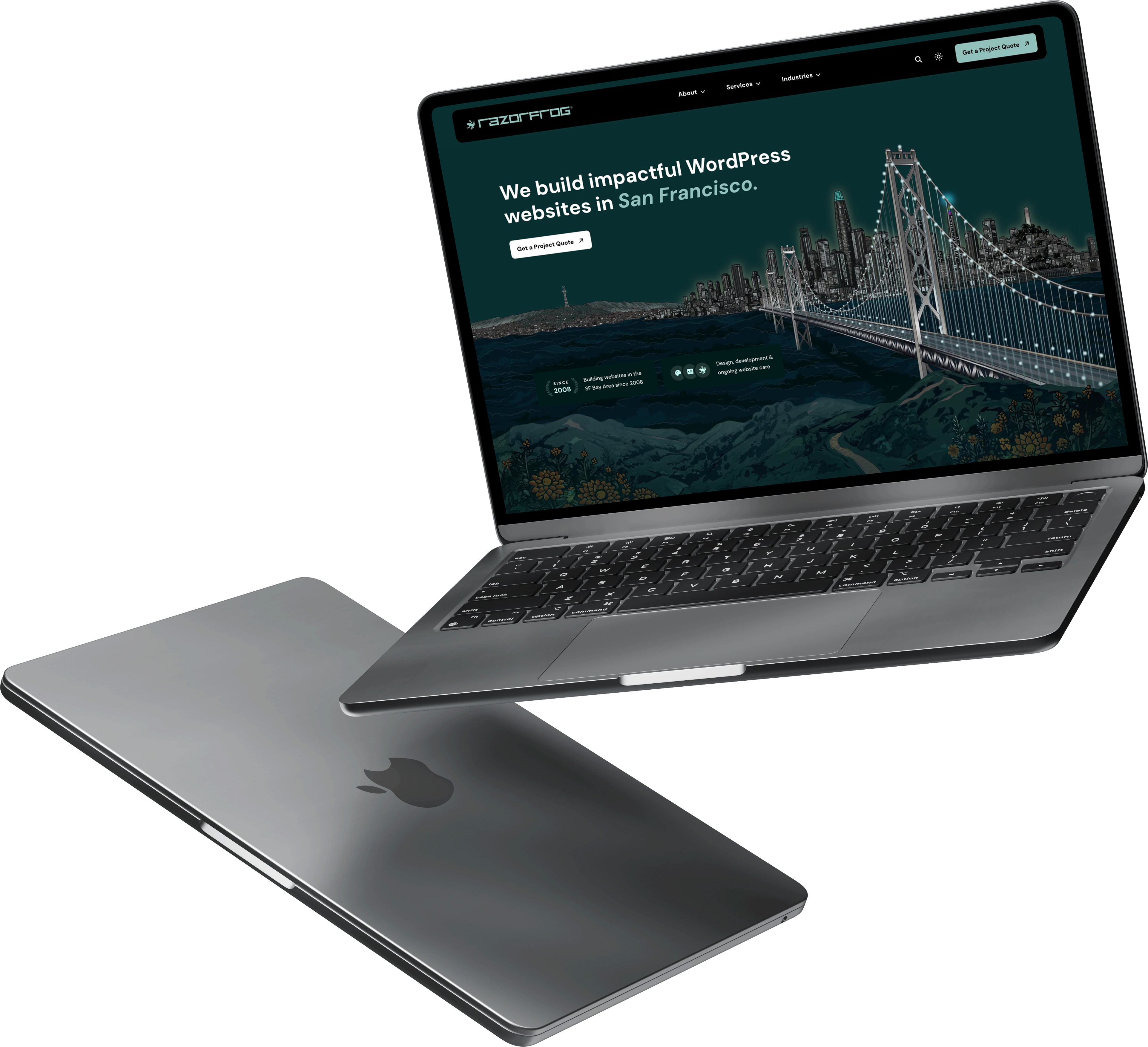 Razorfrog Web Design mockup - Night version
